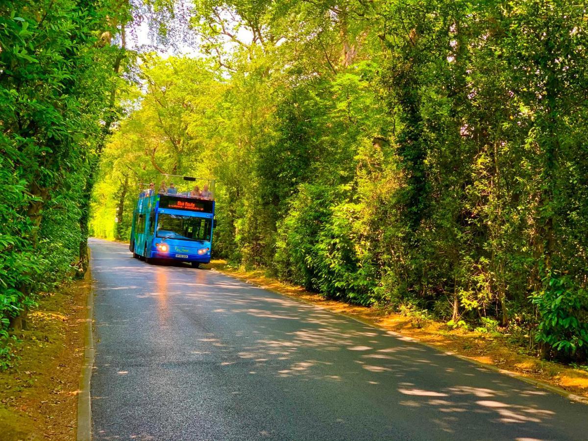 Forest Haven Sway エクステリア 写真