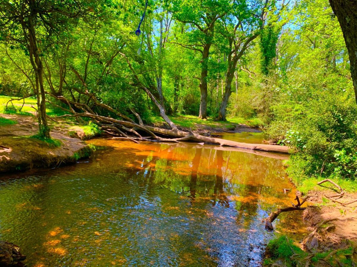 Forest Haven Sway エクステリア 写真